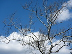 IMG 4576